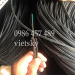 cap-quang-4core-sacom
